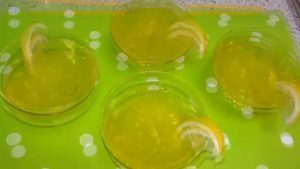 haciendo-gelatina-de-alga-con-frutas-3
